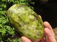 Polished Green Opal Standing Free Forms  x 2 From Antsirabe, Madagascar - Toprock Gemstones and Minerals 