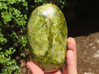 Polished Green Opal Standing Free Forms  x 2 From Antsirabe, Madagascar - Toprock Gemstones and Minerals 