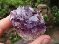 Natural Small Dark Amethyst Crystal Plate Specimens  x 24 From Zululand, South Africa - TopRock