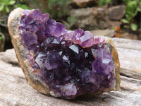 Natural Small Dark Amethyst Crystal Plate Specimens  x 24 From Zululand, South Africa - TopRock