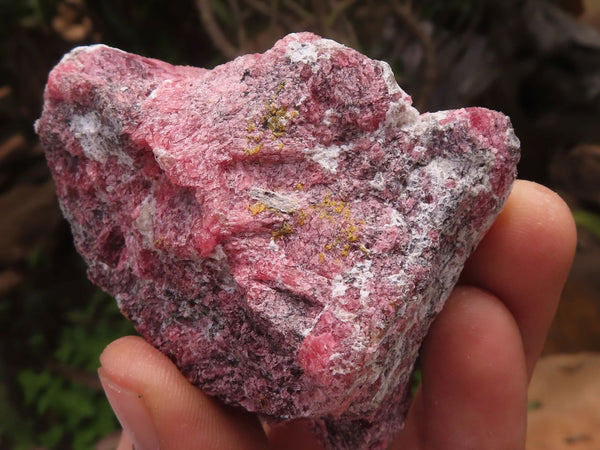 Natural Rosey Red Rhodonite Rough Specimens  x 6 From Zimbabwe - TopRock