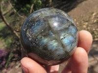 Polished Labradorite Spheres With Nice Subtle Flash x 6 From Tulear, Madagascar - TopRock