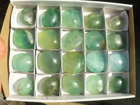 Polished Emerald Fluorite Palm Stones  x 20 From Madagascar