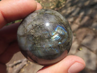 Polished Labradorite Spheres With Nice Subtle Flash x 6 From Tulear, Madagascar - TopRock