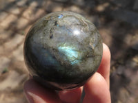 Polished Labradorite Spheres With Nice Subtle Flash x 6 From Tulear, Madagascar - TopRock