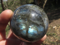 Polished Labradorite Spheres With Nice Subtle Flash x 6 From Tulear, Madagascar - TopRock