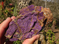 Natural Metallic Purpurite Cobbed Specimens x 6 From Erongo, Namibia