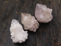 Natural White Spirit Cactus Quartz Crystals  x 65 From Boekenhouthoek, South Africa - TopRock