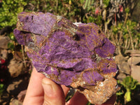 Natural Metallic Purpurite Cobbed Specimens x 6 From Erongo, Namibia