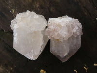 Natural White Spirit Cactus Quartz Crystals  x 65 From Boekenhouthoek, South Africa - TopRock