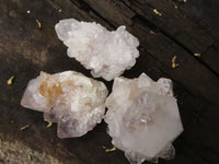 Natural White Spirit Cactus Quartz Crystals  x 65 From Boekenhouthoek, South Africa - TopRock