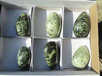 Polished Leopard Stone Free Forms  x 6 From Inyanga, Zimbabwe