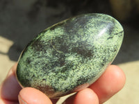 Polished Leopard Stone Free Forms  x 6 From Inyanga, Zimbabwe