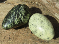 Polished Leopard Stone Free Forms  x 6 From Inyanga, Zimbabwe