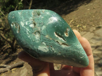 Polished XXL XX Rare Chrome Chrysoprase Free Forms  x 2 From Zimbabwe - TopRock