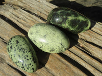 Polished Leopard Stone Free Forms  x 6 From Inyanga, Zimbabwe