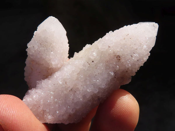 Natural Spirit Cactus Flower Quartz Crystals  x 20 From Boekenhouthoek, South Africa - Toprock Gemstones and Minerals 