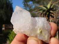 Natural Spirit Cactus Flower Quartz Crystals  x 20 From Boekenhouthoek, South Africa - Toprock Gemstones and Minerals 