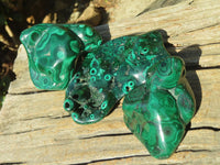 Polished Malachite Free Forms x 3 From Kolwezi, Congo