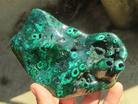 Polished Malachite Free Forms x 3 From Kolwezi, Congo