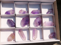 Polished Window Amethyst Crystals x 12 From Ankazobe, Madagascar