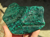 Polished Malachite Free Forms x 3 From Kolwezi, Congo