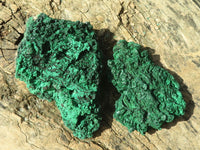 Natural Botryoidal Silky Malachite Specimens  x 2 From Kasompe, Congo - Toprock Gemstones and Minerals 