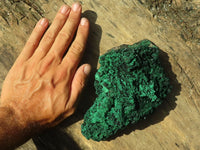 Natural Botryoidal Silky Malachite Specimens  x 2 From Kasompe, Congo - Toprock Gemstones and Minerals 