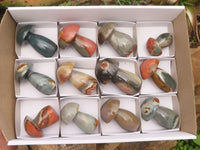 Polished Polychrome / Picasso Jasper Mushrooms  x 12 From Madagascar - TopRock