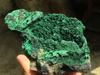 Natural Botryoidal Silky Malachite Specimens  x 2 From Kasompe, Congo - Toprock Gemstones and Minerals 