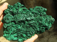 Natural Botryoidal Silky Malachite Specimens  x 2 From Kasompe, Congo - Toprock Gemstones and Minerals 