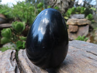 Polished Schorl Black Tourmaline Eggs  x 6 From Madagascar - Toprock Gemstones and Minerals 