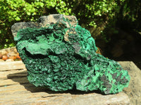 Natural Botryoidal Silky Malachite Specimens  x 2 From Kasompe, Congo - Toprock Gemstones and Minerals 