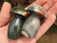 Polished Polychrome / Picasso Jasper Mushrooms  x 12 From Madagascar - TopRock