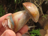 Polished Polychrome / Picasso Jasper Mushrooms  x 12 From Madagascar - TopRock