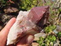 Natural Red Hematoid Quartz Specimens x 12 From Karoi, Zimbabwe