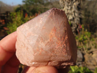 Natural Smokey Hematoid Quartz Crystals  x 35 From Ambositra, Madagascar