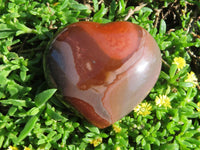 Polished Polychrome Jasper Hearts x 6 From Madagascar - TopRock