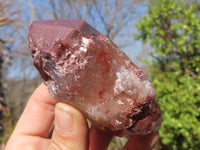 Natural Red Hematoid Quartz Specimens x 12 From Karoi, Zimbabwe