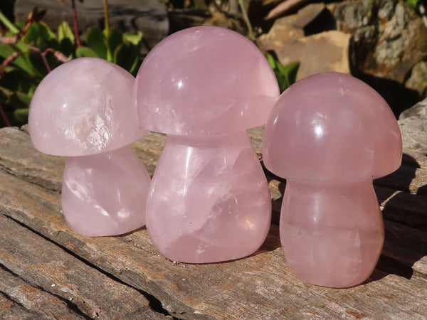 Polished Gemmy Pink Rose Quartz Mushrooms x 6 From Ambatondrazaka, Madagascar