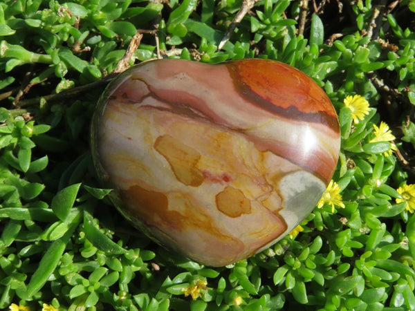 Polished Polychrome Jasper Hearts x 6 From Madagascar - TopRock