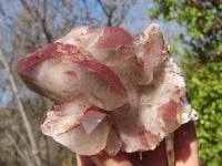 Natural Red Hematoid Quartz Specimens x 12 From Karoi, Zimbabwe