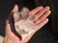 Natural Red Hematoid Quartz Specimens x 12 From Karoi, Zimbabwe