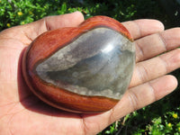 Polished Polychrome Jasper Hearts x 6 From Madagascar - TopRock