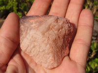 Natural Smokey Hematoid Quartz Crystals  x 35 From Ambositra, Madagascar