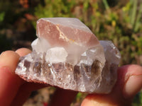 Natural Smokey Hematoid Quartz Crystals  x 35 From Ambositra, Madagascar