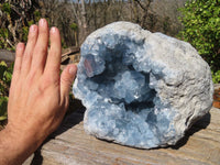 Natural Blue Celestite Geode Specimen x 1 From Sakoany, Madagascar