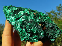 Natural Silky Malachite Specimens x 2 From Kasompe, Congo - TopRock