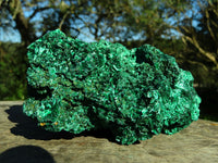 Natural Silky Malachite Specimens x 2 From Kasompe, Congo - TopRock