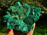 Natural Silky Malachite Specimens x 2 From Kasompe, Congo - TopRock